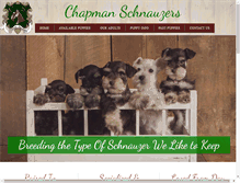 Tablet Screenshot of chapmanschnauzers.com